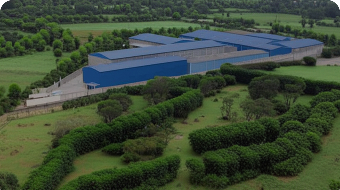 Timeline event TOP 4 Plant