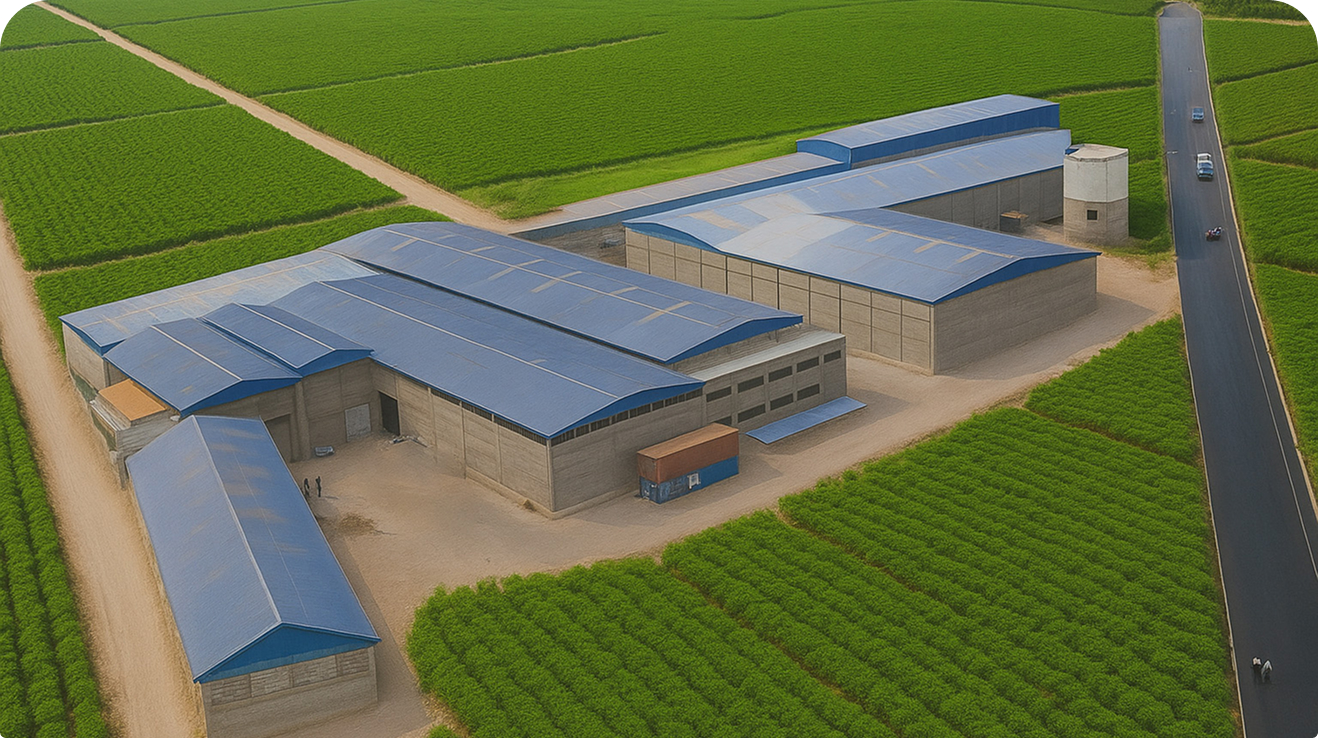 Timeline event TOP 5 Plant